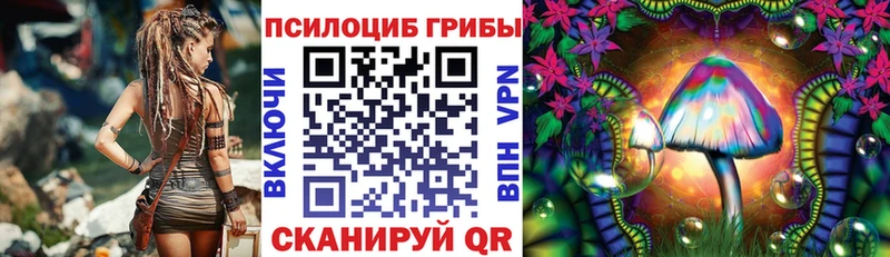 Купить где  Берёзовский  Псилоцибиновые грибы Cubensis 